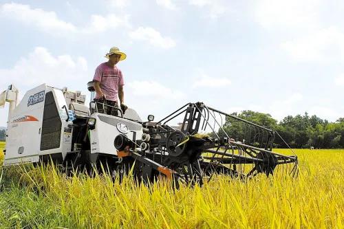 1628581328790941.jpg 2.jpg